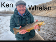 Trout in Strange Places tout in strange places
