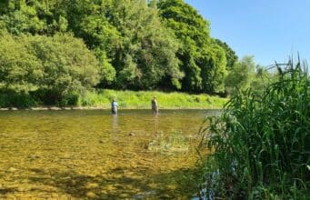 Busy weekend at Mount Juliet with great surface action for trout, tench and carp Nore