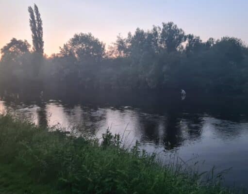River Nore end of season report and upcoming courses nore trout fishing