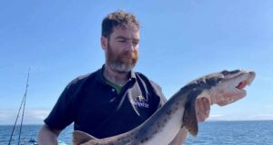 Big spurs and huss in west Clare