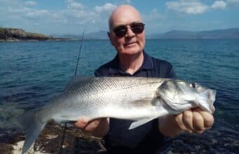 Anglers getting good bass fishing in Kerry bass