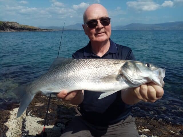 bass