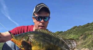 The Lure Fishing Podcast – Episode 7 – Wrasse with Damion Fryer