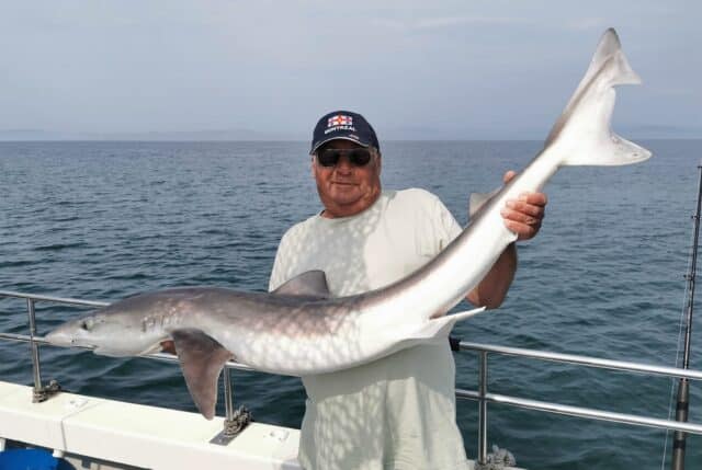 qrf