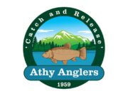 Tench and hybrids from canal at Athy but roach wins the day athy