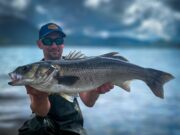 Specimen sea bass for Craig in Kerry!
