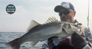 bass from the kayak