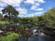 Ireland on the Fly talks water quality and what it means for angling water quality