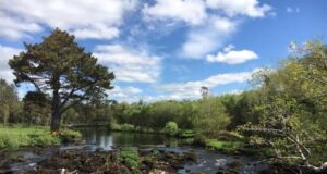 Ireland on the Fly talks water quality and what it means for angling water quality