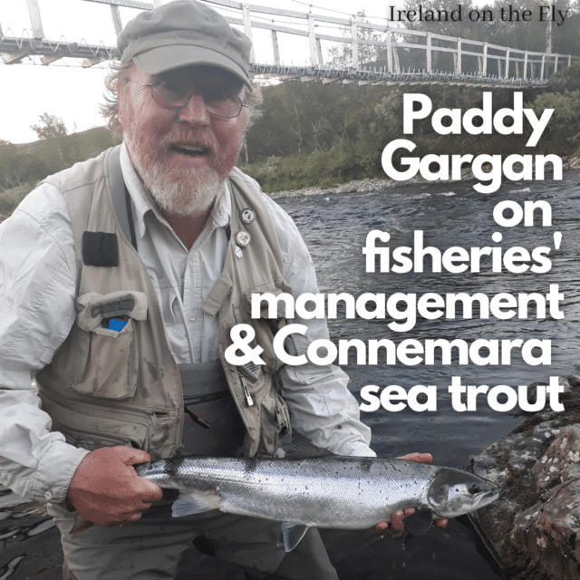Paddy Gargan