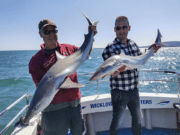 Dutch delight in top tope fishing with Wicklow Boats