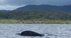 Conditions improve on Currane at the weekend and a few fish reported