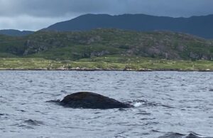 Conditions improve on Currane at the weekend and a few fish reported