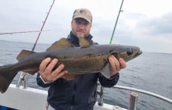 Big pollack on light tackle and a tope for Ewings Sea Angling & Boat Charters