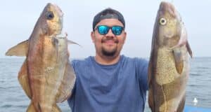 Specimen bib and cod