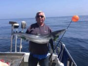 Blue shark and Bluemouths under blue skies for Tigger
