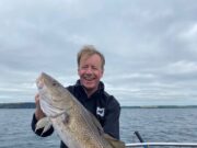 Big pollack, cod, and more, specimens too at Courtmacsherry cod