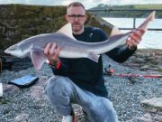 Hound hunting holiday hits all the highs Shane Nugent with a smoothhound