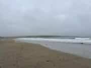 West Cork and District fish Garrylucas, flats, bass, conger and more caught Garrylucas