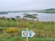 No Muckno magic this week for match anglers