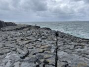 Irish Angling Update – 6th July 2023
