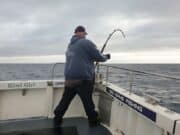 Bluefin season up and running!