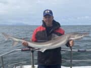 Nonstop tope action & some blues, porbeagle, spur & huss as a bonus for Carrigaholt Sea Angling