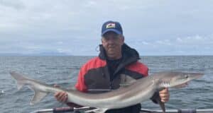 Nonstop tope action & some blues, porbeagle, spur & huss as a bonus for Carrigaholt Sea Angling