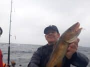 Cod, pollack and a nice tope for Donegal Bay charter boats