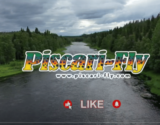 A fishing journey begins for Lily with Piscari Fly