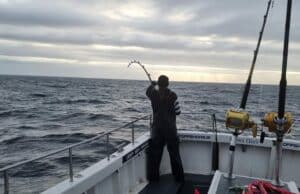 Tackle and Baits for the Sea Angler