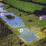 lac-ariel-photo-label
