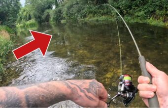 Upstream spinner just the job for river trout