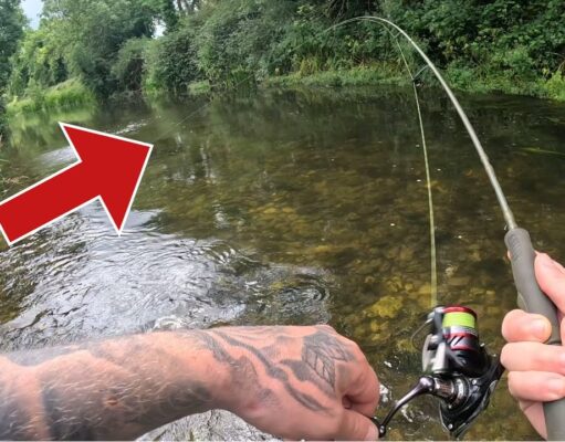 Upstream spinner just the job for river trout