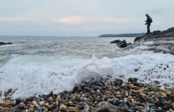 Irish Angling Update 🎣 25 August 2023