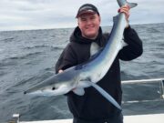 Sharking slow but mixed fishing provides nice sport in Galway