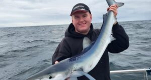 Sharking slow but mixed fishing provides nice sport in Galway