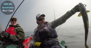 Break in the weather makes for great kayak angling in West Cork