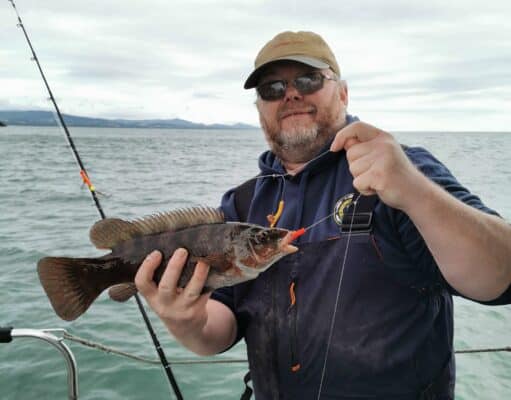 Plenty of species for Wicklow Boats anglers