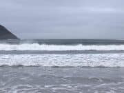 Belmullet 2-Day Sea Angling Competition