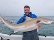 Greystones anglers come up trumps at Tope Festival