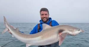 Greystones anglers come up trumps at Tope Festival