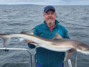 Dirty days don’t deter determined Dubs fishing with Bluesharkangling
