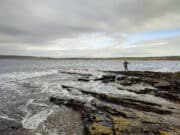 Big tides and shoals of sprat bring south coast bass on the feed
