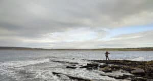 Big tides and shoals of sprat bring south coast bass on the feed