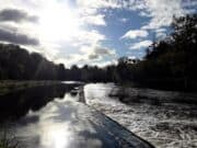 Small window of opportunity provides sport on the Boyne
