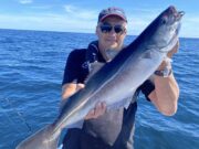 Better weather meant great fishing for small boat angler out of Cork Harbour