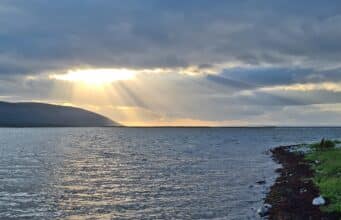 Irish Angling Update – 11 Aug 2023 π£