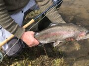 ‘Bows a plenty at Southern County