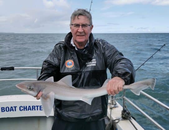 On of John O'Brien's group with a lovely smoothhound